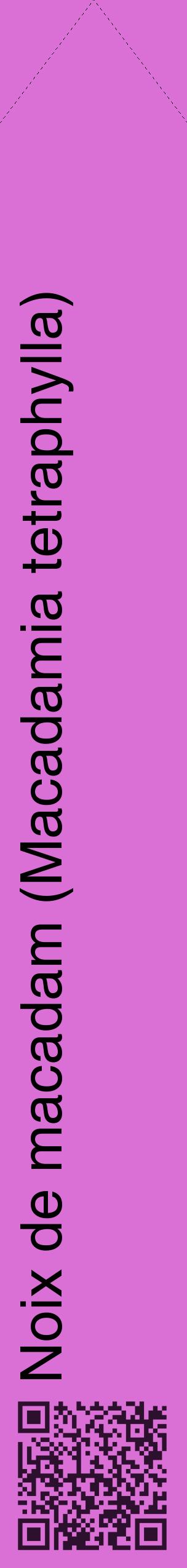Étiquette de : Macadamia tetraphylla - format c - style noire52_simplehel avec qrcode et comestibilité