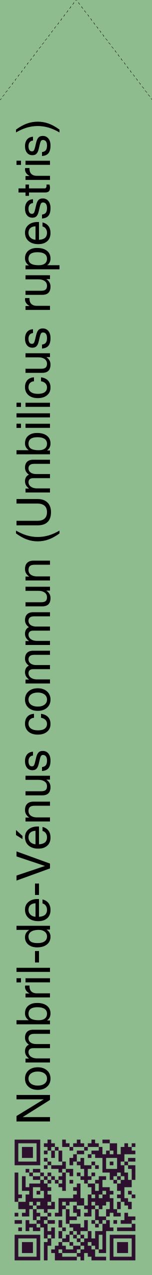 Étiquette de : Umbilicus rupestris - format c - style noire13_simplehel avec qrcode et comestibilité