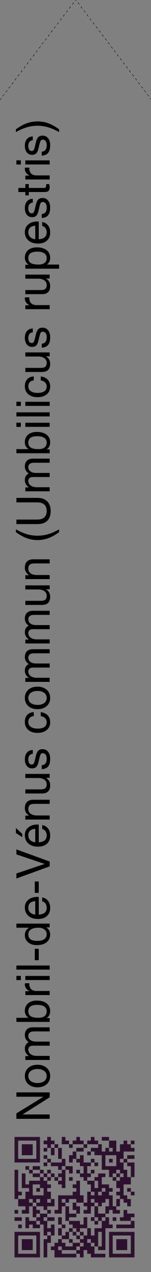 Étiquette de : Umbilicus rupestris - format c - style noire57_simplehel avec qrcode et comestibilité