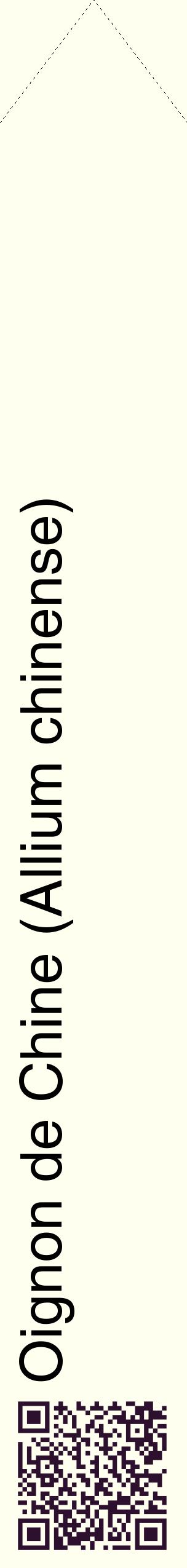 Étiquette de : Allium chinense - format c - style noire19_simplehel avec qrcode et comestibilité