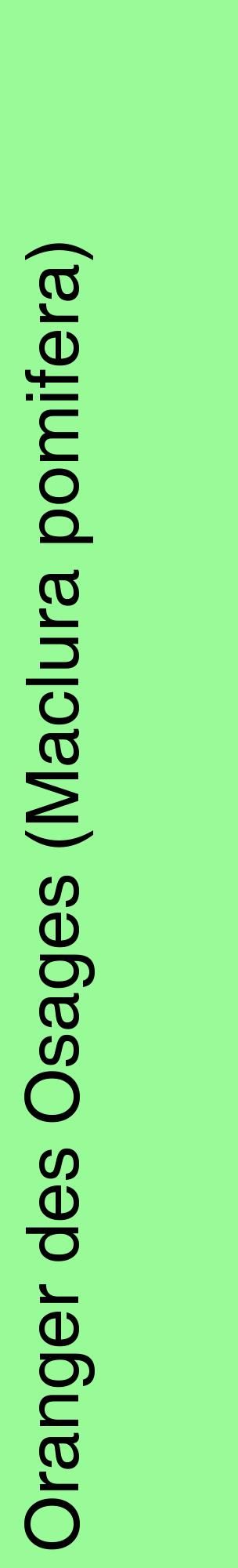 Étiquette de : Maclura pomifera - format c - style noire14_basiquehel avec comestibilité
