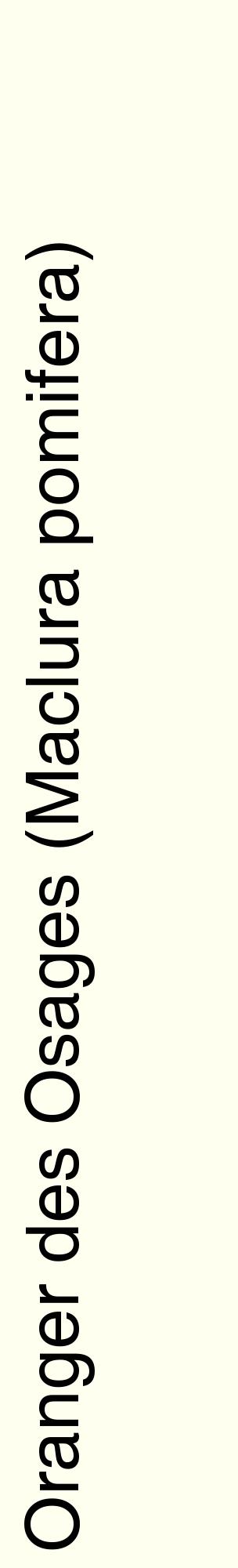 Étiquette de : Maclura pomifera - format c - style noire19_basiquehel avec comestibilité