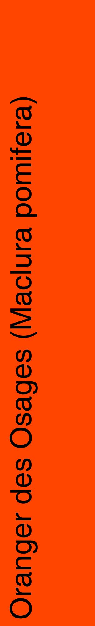 Étiquette de : Maclura pomifera - format c - style noire26_basiquehel avec comestibilité
