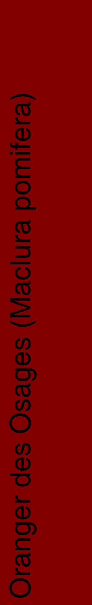 Étiquette de : Maclura pomifera - format c - style noire29_basiquehel avec comestibilité