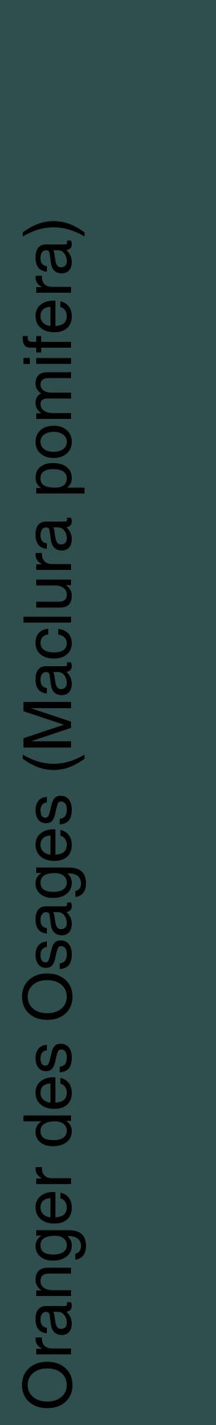 Étiquette de : Maclura pomifera - format c - style noire58_basiquehel avec comestibilité