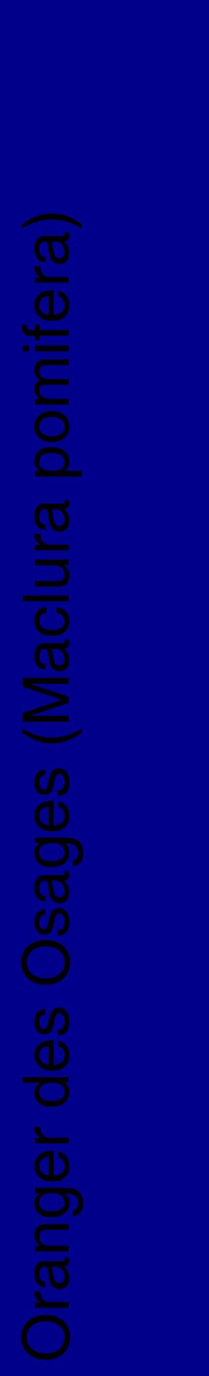 Étiquette de : Maclura pomifera - format c - style noire7_basiquehel avec comestibilité