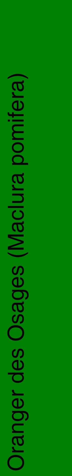 Étiquette de : Maclura pomifera - format c - style noire9_basiquehel avec comestibilité