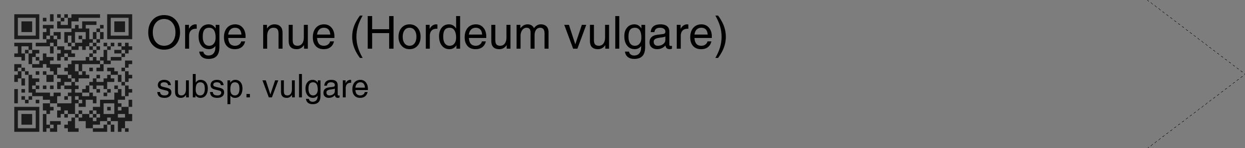 Étiquette de : Hordeum vulgare subsp. vulgare - format c - style noire35_simple_simplehel avec qrcode et comestibilité