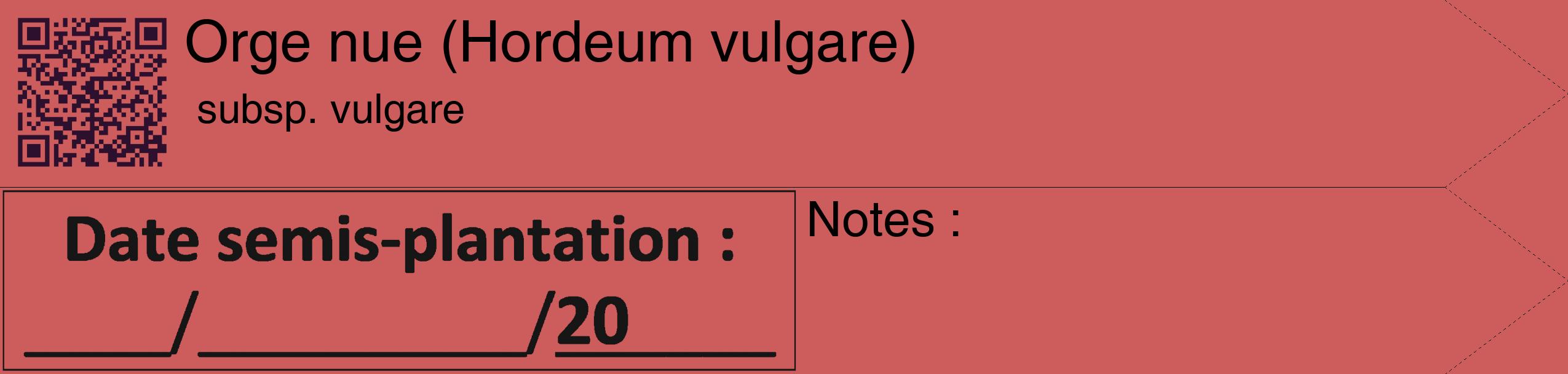 Étiquette de : Hordeum vulgare subsp. vulgare - format c - style noire35_simple_simplehel avec qrcode et comestibilité