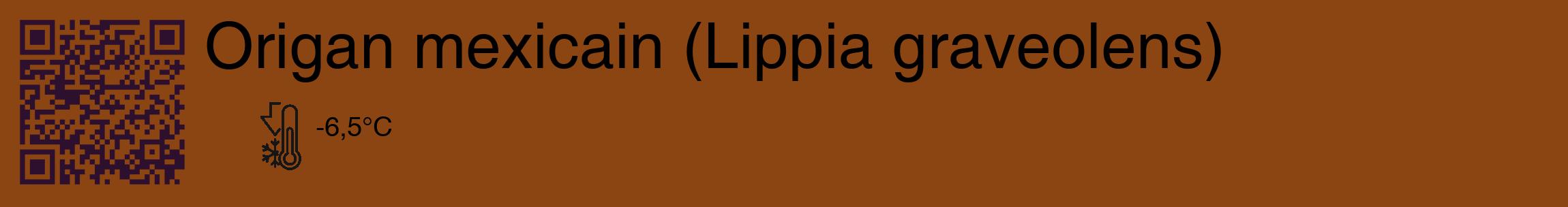 Étiquette de : Lippia graveolens - format c - style noire30_basique_basiquehel avec qrcode et comestibilité