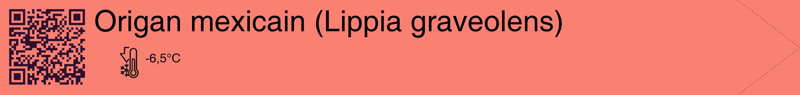 Étiquette de : Lippia graveolens - format c - style noire38_simple_simplehel avec qrcode et comestibilité