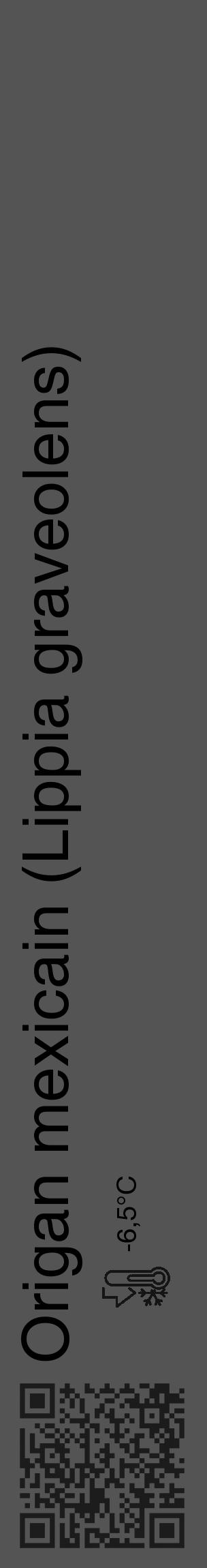 Étiquette de : Lippia graveolens - format c - style noire30_basique_basiquehel avec qrcode et comestibilité - position verticale