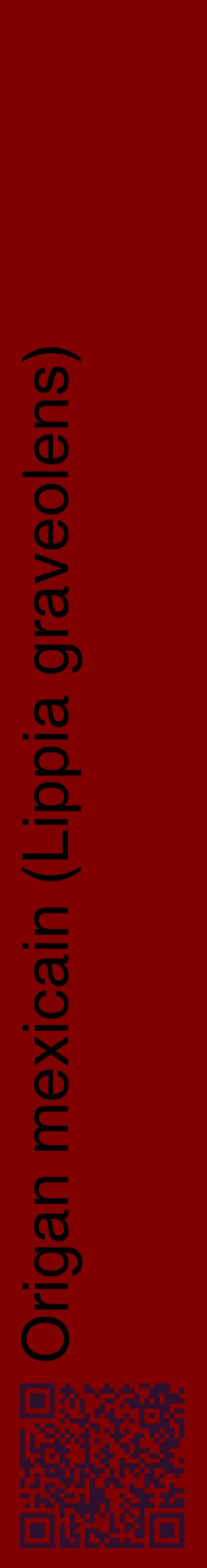 Étiquette de : Lippia graveolens - format c - style noire29_basiquehel avec qrcode et comestibilité