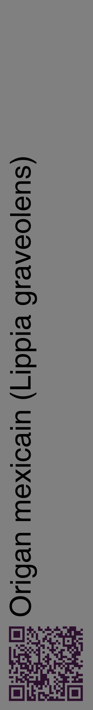 Étiquette de : Lippia graveolens - format c - style noire57_basiquehel avec qrcode et comestibilité