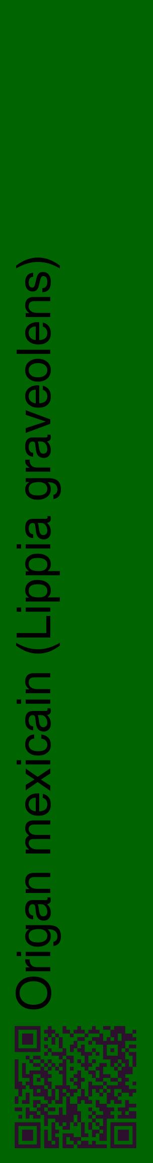 Étiquette de : Lippia graveolens - format c - style noire8_basiquehel avec qrcode et comestibilité