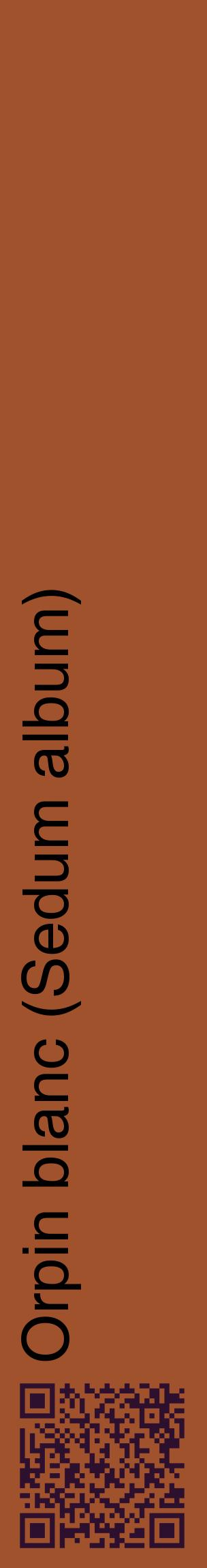 Étiquette de : Sedum album - format c - style noire32_basiquehel avec qrcode et comestibilité