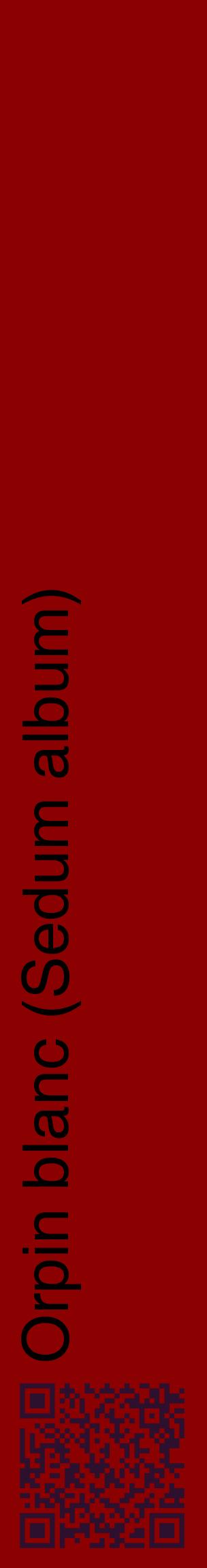 Étiquette de : Sedum album - format c - style noire34_basiquehel avec qrcode et comestibilité