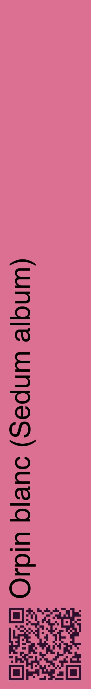 Étiquette de : Sedum album - format c - style noire44_basiquehel avec qrcode et comestibilité
