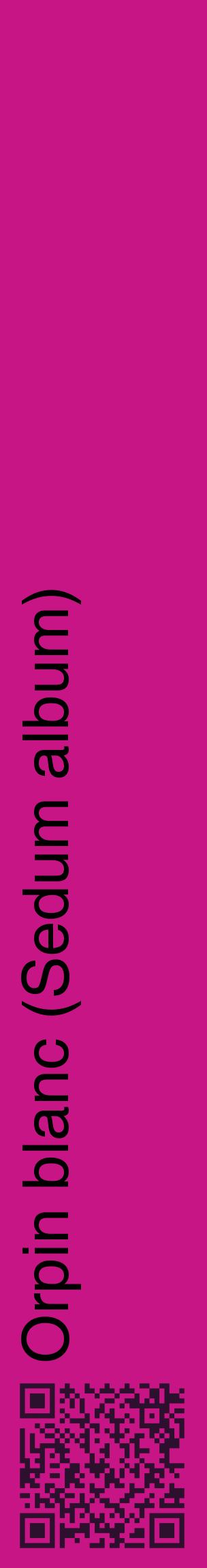 Étiquette de : Sedum album - format c - style noire45_basiquehel avec qrcode et comestibilité