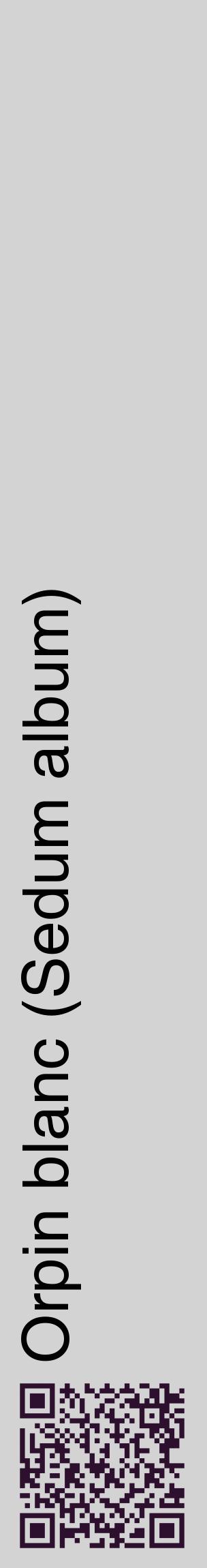 Étiquette de : Sedum album - format c - style noire56_basiquehel avec qrcode et comestibilité