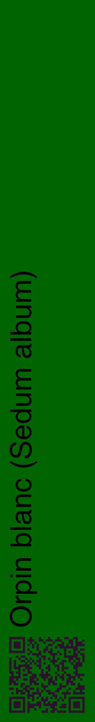 Étiquette de : Sedum album - format c - style noire8_basiquehel avec qrcode et comestibilité