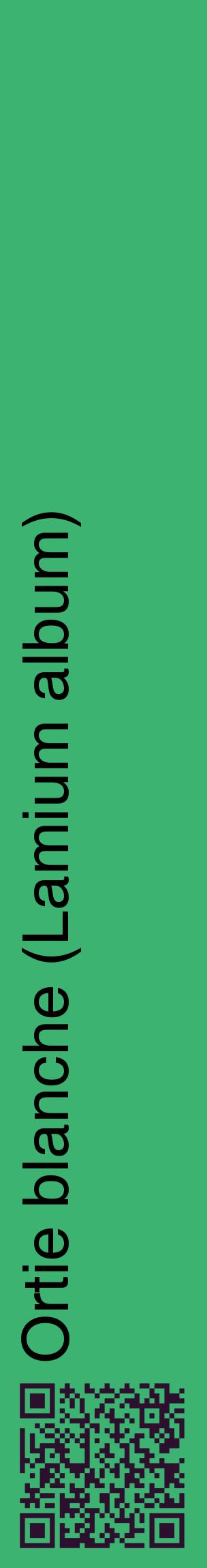 Étiquette de : Lamium album - format c - style noire12_basiquehel avec qrcode et comestibilité
