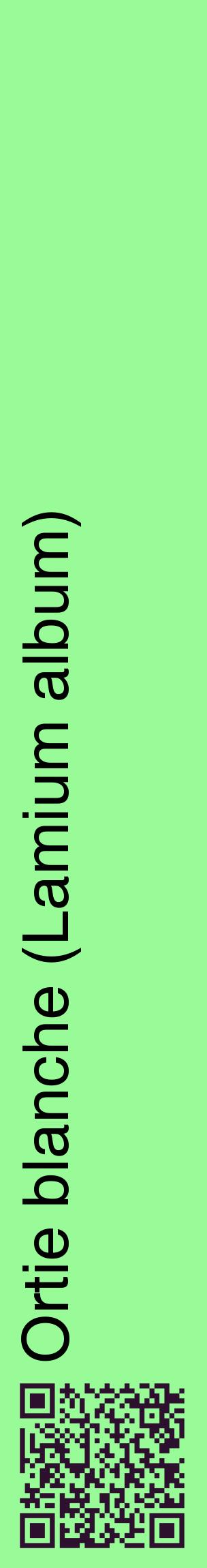 Étiquette de : Lamium album - format c - style noire14_basiquehel avec qrcode et comestibilité