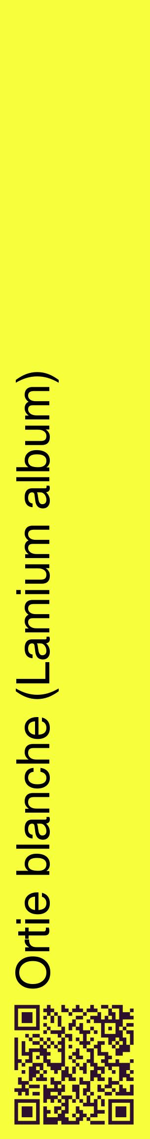 Étiquette de : Lamium album - format c - style noire18_basiquehel avec qrcode et comestibilité