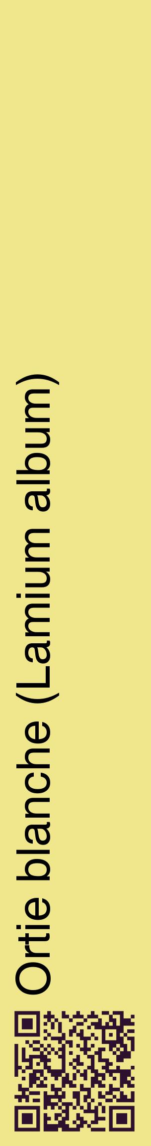 Étiquette de : Lamium album - format c - style noire20_basiquehel avec qrcode et comestibilité