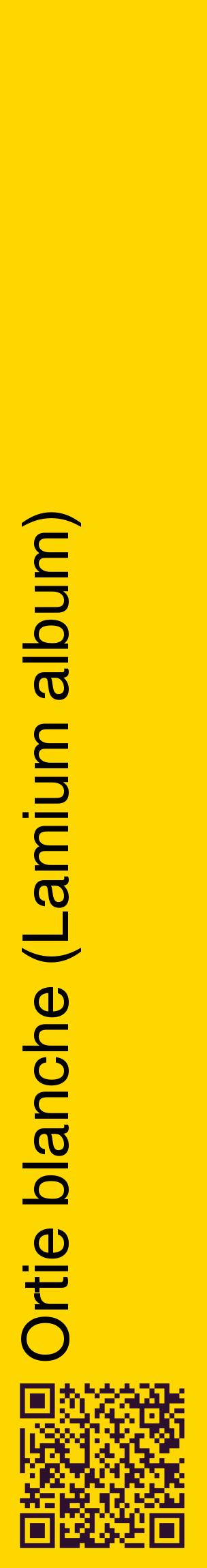 Étiquette de : Lamium album - format c - style noire21_basiquehel avec qrcode et comestibilité
