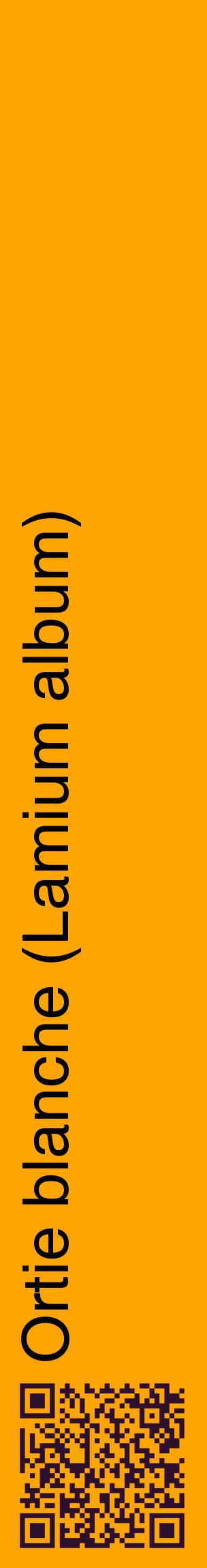 Étiquette de : Lamium album - format c - style noire22_basiquehel avec qrcode et comestibilité