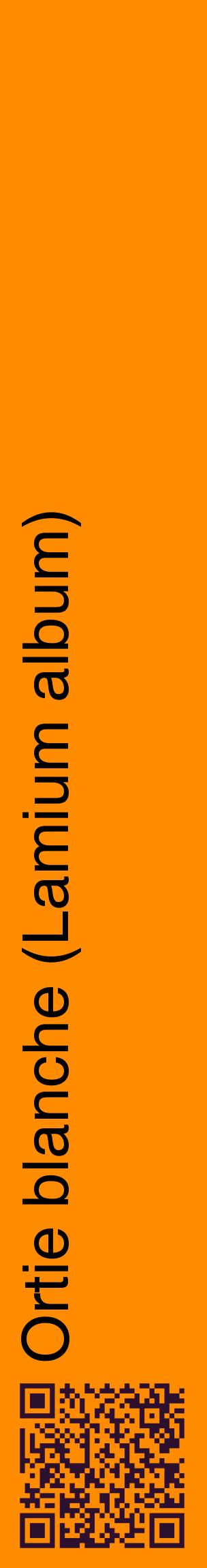 Étiquette de : Lamium album - format c - style noire23_basiquehel avec qrcode et comestibilité