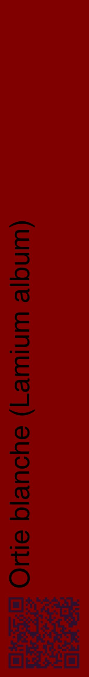 Étiquette de : Lamium album - format c - style noire29_basiquehel avec qrcode et comestibilité