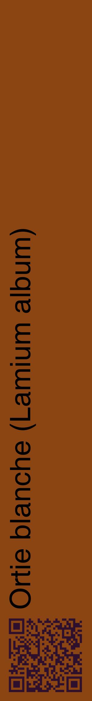 Étiquette de : Lamium album - format c - style noire30_basiquehel avec qrcode et comestibilité