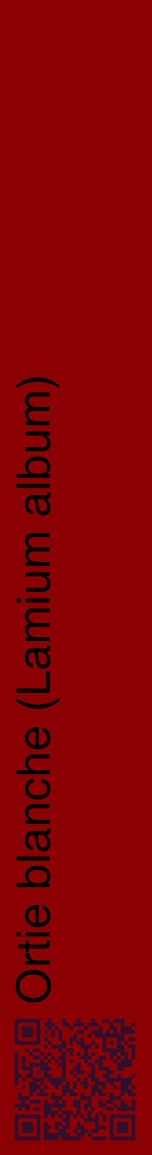 Étiquette de : Lamium album - format c - style noire34_basiquehel avec qrcode et comestibilité