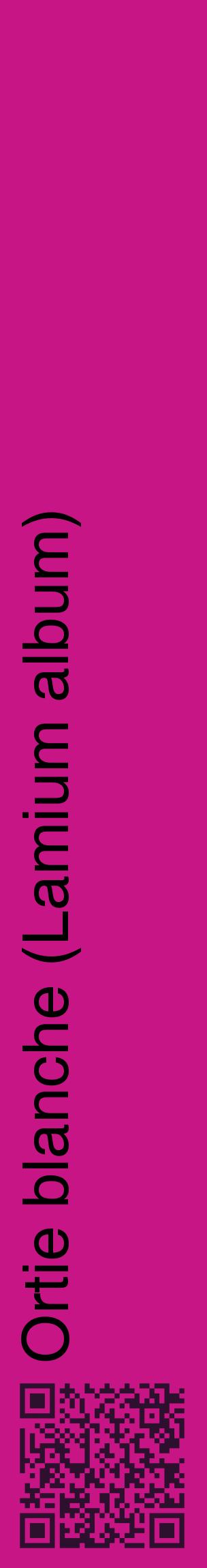 Étiquette de : Lamium album - format c - style noire45_basiquehel avec qrcode et comestibilité