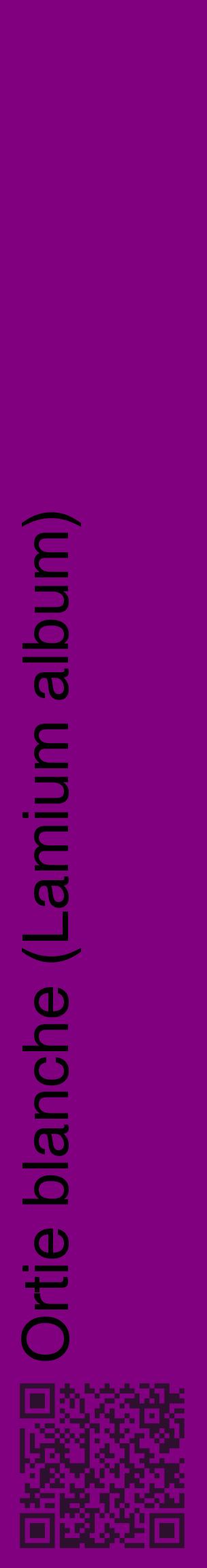 Étiquette de : Lamium album - format c - style noire46_basiquehel avec qrcode et comestibilité