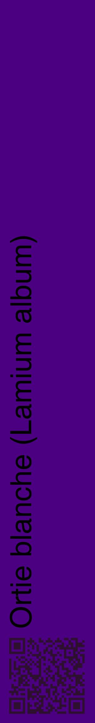 Étiquette de : Lamium album - format c - style noire47_basiquehel avec qrcode et comestibilité