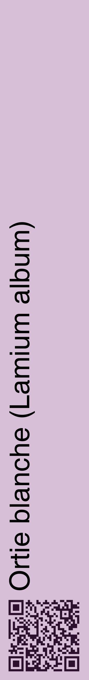 Étiquette de : Lamium album - format c - style noire54_basiquehel avec qrcode et comestibilité