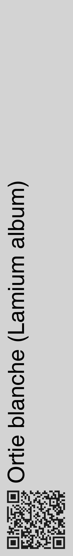Étiquette de : Lamium album - format c - style noire56_basique_basiquehel avec qrcode et comestibilité - position verticale