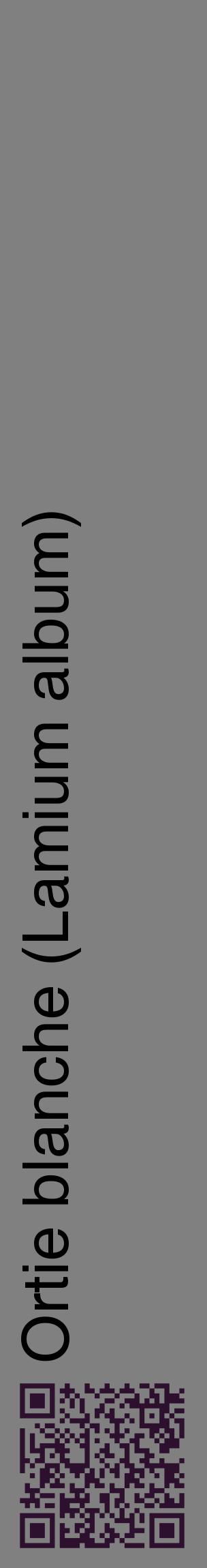 Étiquette de : Lamium album - format c - style noire57_basiquehel avec qrcode et comestibilité