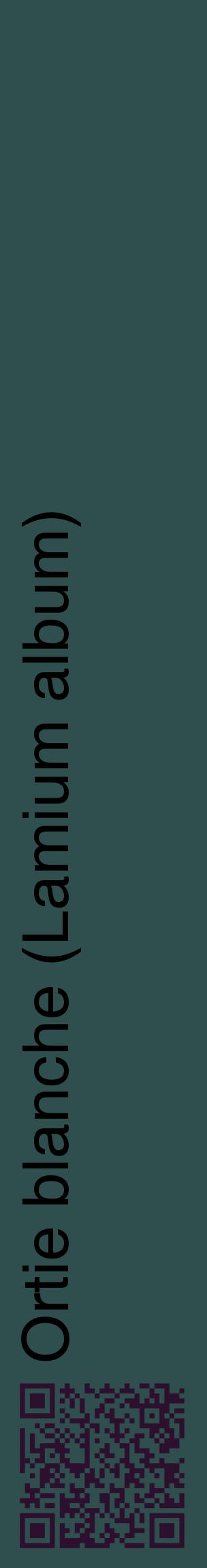 Étiquette de : Lamium album - format c - style noire58_basiquehel avec qrcode et comestibilité