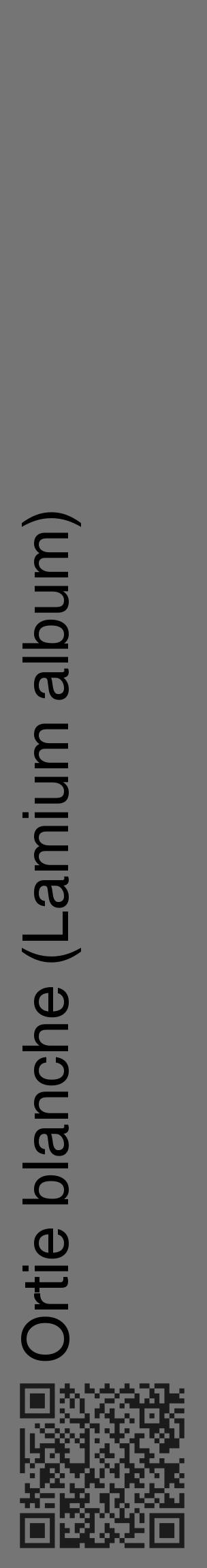 Étiquette de : Lamium album - format c - style noire5_basique_basiquehel avec qrcode et comestibilité - position verticale