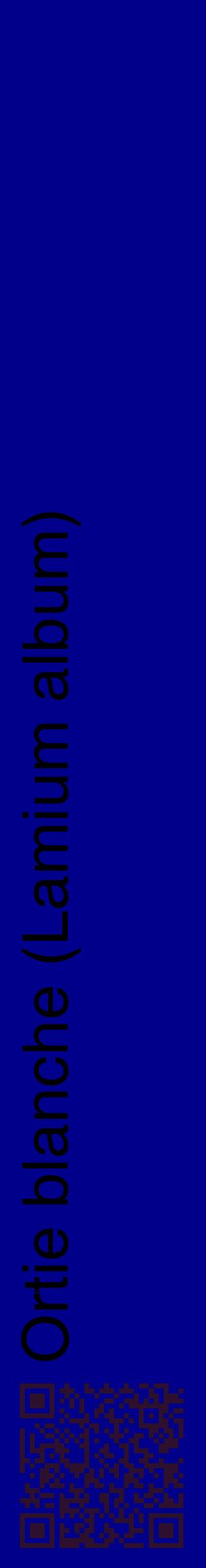 Étiquette de : Lamium album - format c - style noire7_basiquehel avec qrcode et comestibilité