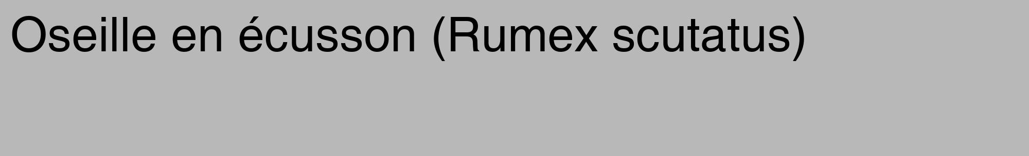 Étiquette de : Rumex scutatus - format c - style noire39_basique_basiquehel avec comestibilité