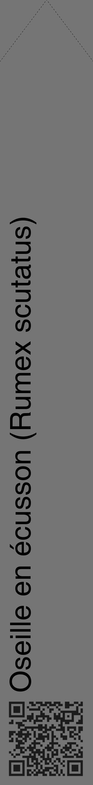 Étiquette de : Rumex scutatus - format c - style noire5_simple_simplehel avec qrcode et comestibilité - position verticale