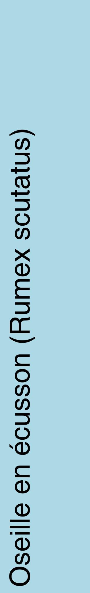 Étiquette de : Rumex scutatus - format c - style noire0_basiquehel avec comestibilité