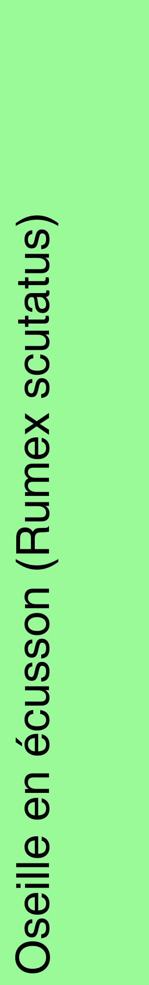 Étiquette de : Rumex scutatus - format c - style noire14_basiquehel avec comestibilité