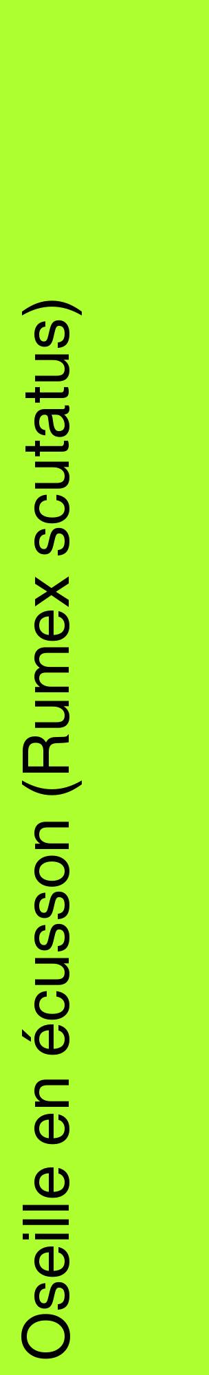 Étiquette de : Rumex scutatus - format c - style noire17_basiquehel avec comestibilité