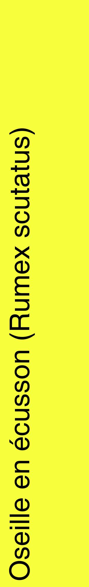 Étiquette de : Rumex scutatus - format c - style noire18_basiquehel avec comestibilité